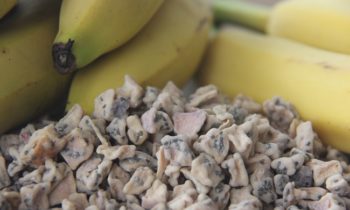 Launch: 100% natural dehydrated banana granulate