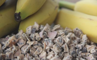 Launch: 100% natural dehydrated banana granulate