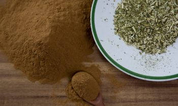 The use of yerba mate in the food industry