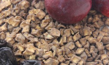 Innovative food ingredients: Prunus Domestica or plum granulate