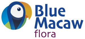 Logotipo Blue Macaw Footer