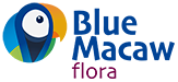 Blue Macaw Flora