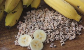 Dehydrated fruit bits make up healthy snacks