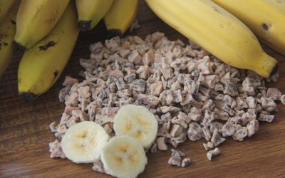 Dehydrated fruit bits make up healthy snacks
