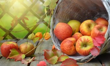 Discover the benefits of apple for health