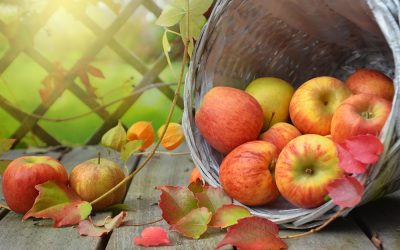 Discover the benefits of apple for health