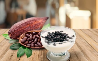 Cacao nibs and other ingredients for food industries