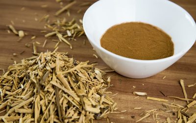 Yerba mate powder and its importance in the cosmetics market