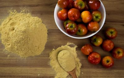 Acerola powder: how manufacturers use this ingredient