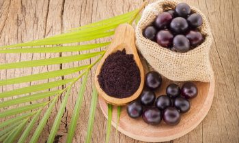 Acai: a fruit in expansion in several industries
