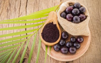 Acai: a fruit in expansion in several industries