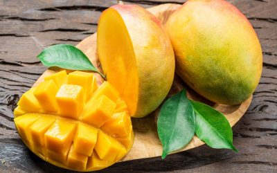 Mango: 100%-natural fruit powder version is used in food manufacturing